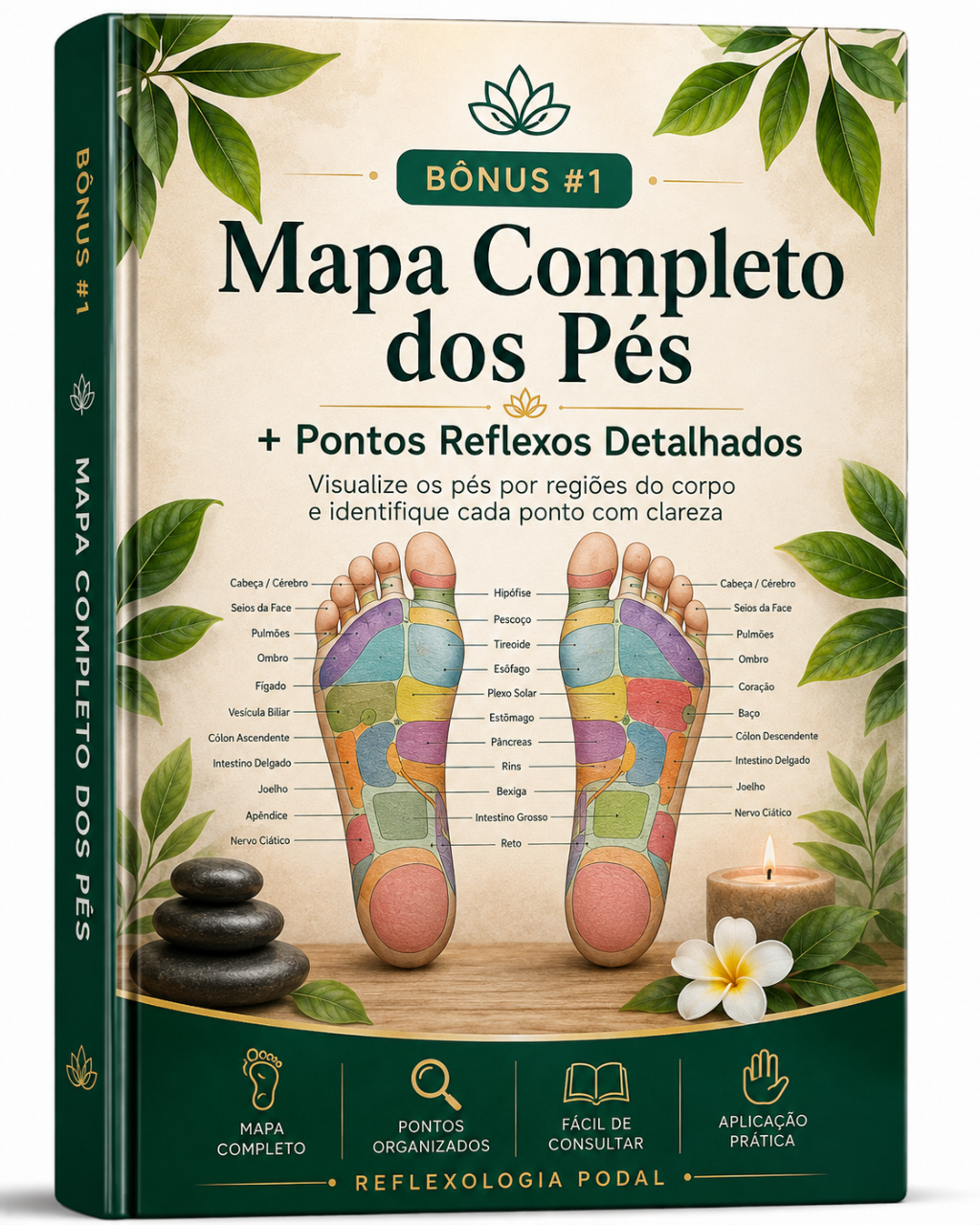 Capa do Bônus 1
